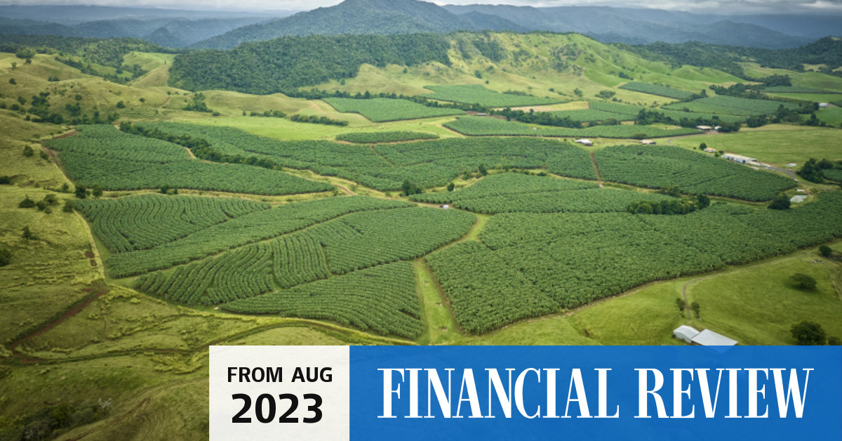 Mackay Farming Group, Australia’s biggest banana grower, and its